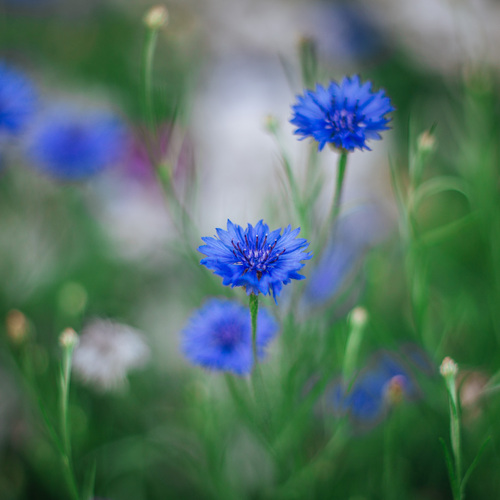 Photo #14209696