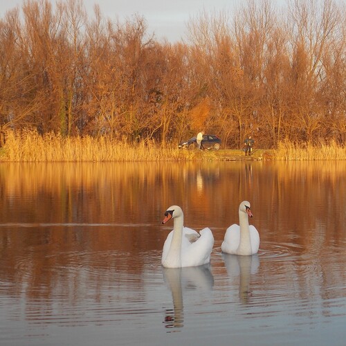 Photo #14209769