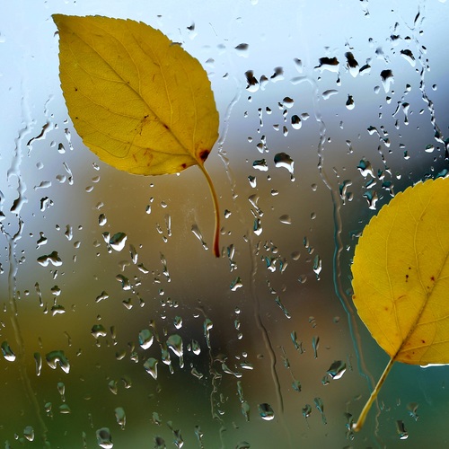 Photo #14209777