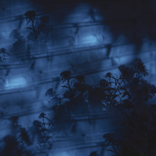 Photo #14209957