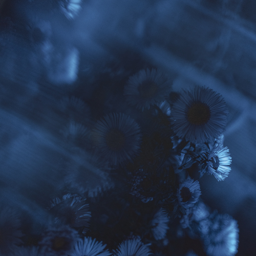 Photo #14209958