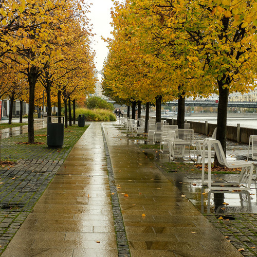Photo #14210012