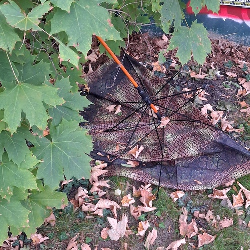 Photo #14210441