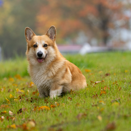 Photo #14210450