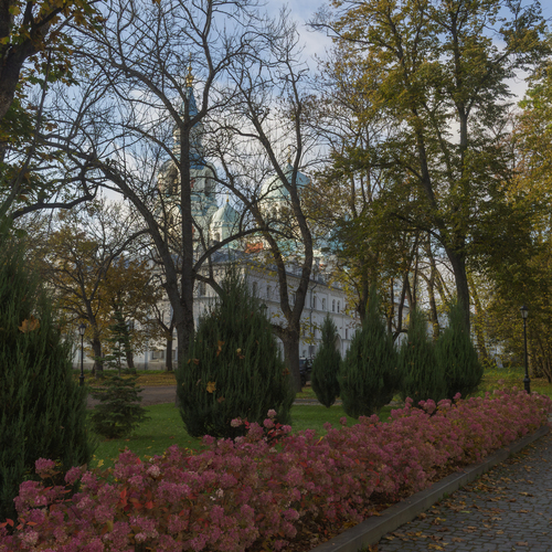 Photo #14210519