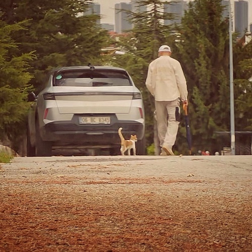 Photo #14210543