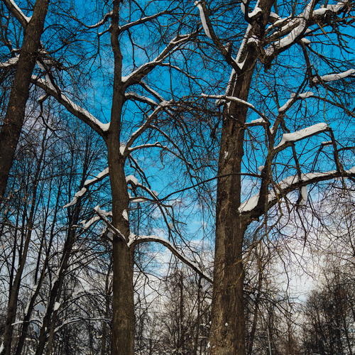 Photo #14210571