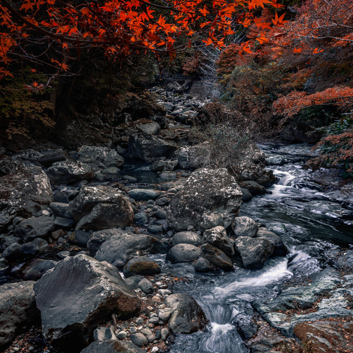 Photo #14210923