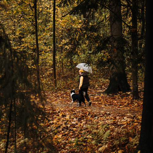 Photo #14211034