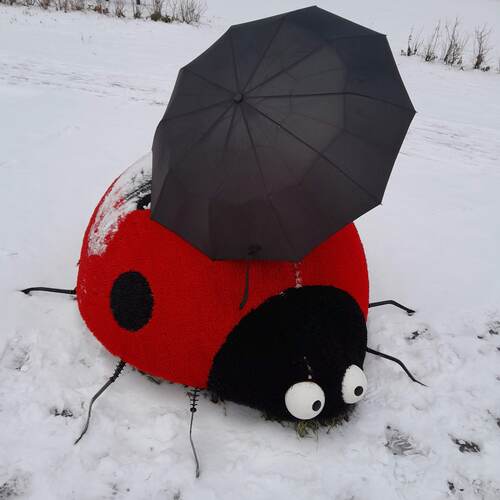 Photo #14211302