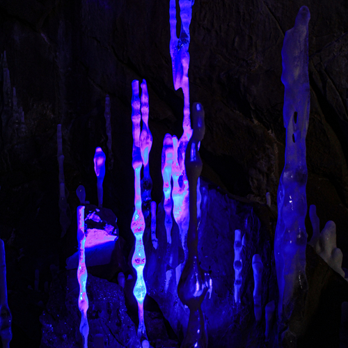 Photo #14212232