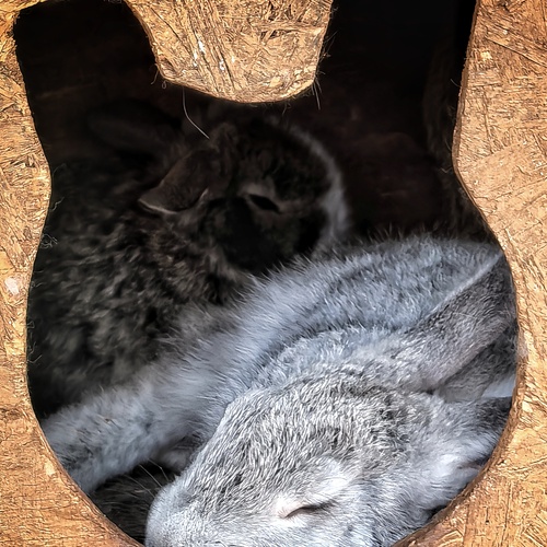 Photo #14212279