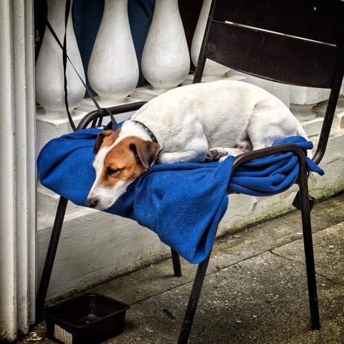 Photo #14212282