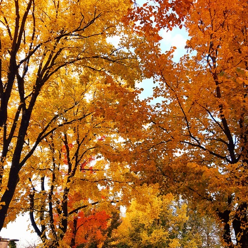 Photo #14212428
