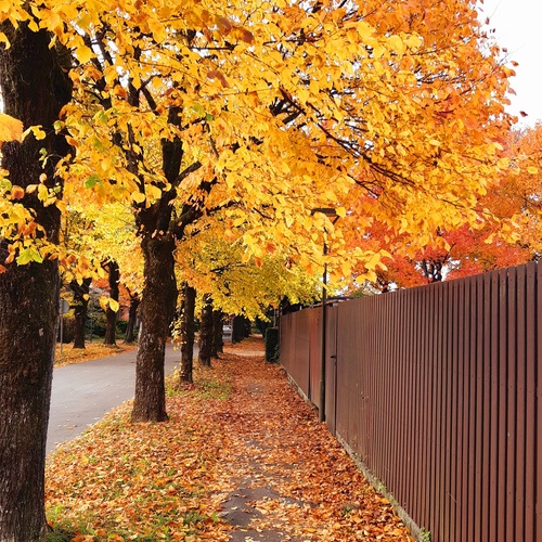 Photo #14212442