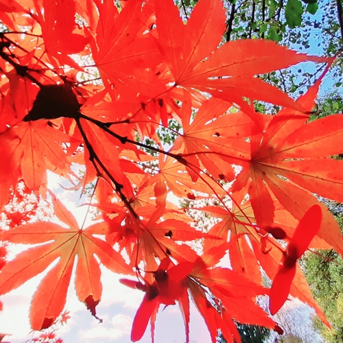 Photo #14212451