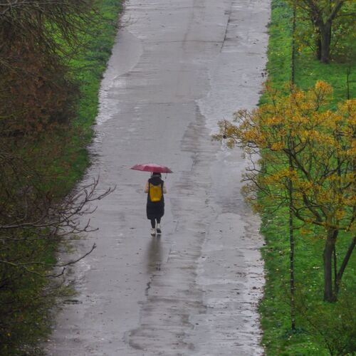 Photo #14212494