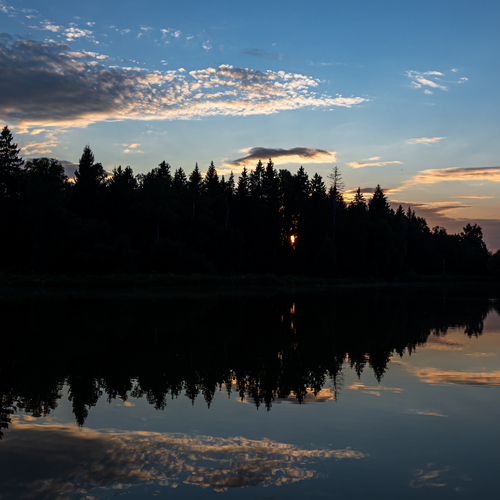 Photo #14212572