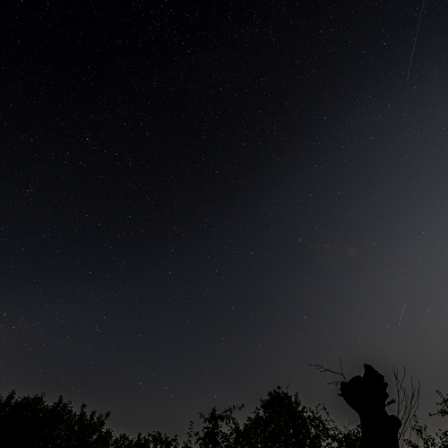 Photo #14212576