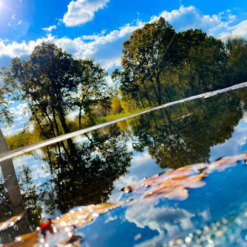 Photo #14212952