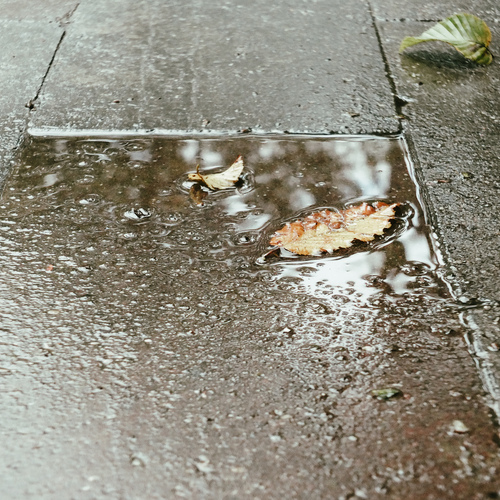 Photo #14213006