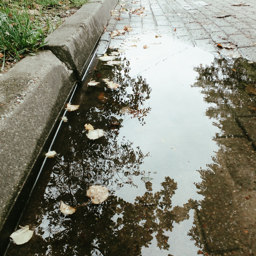 Photo #14213007