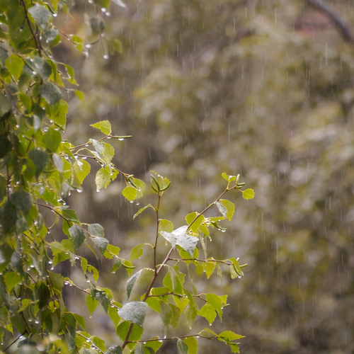 Photo #14213207