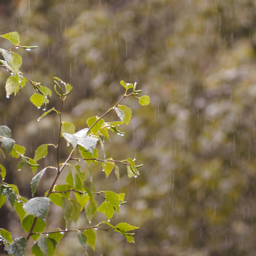 Photo #14213208