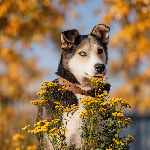 Photo #14213274