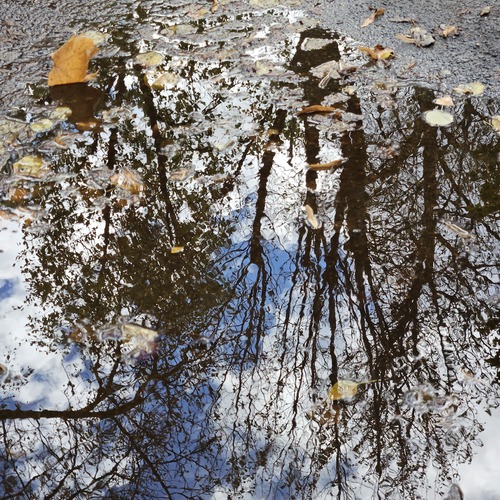 Photo #14213467