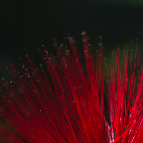 Photo #14214306