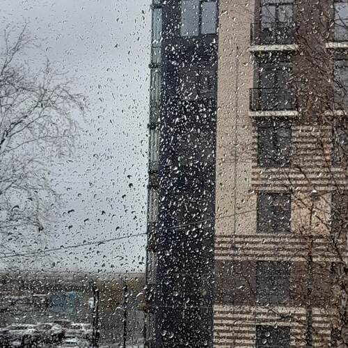 Photo #14214474