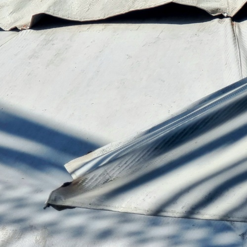 Photo #14214567