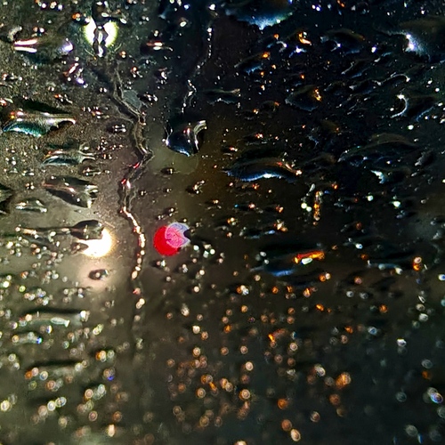 Photo #14214608