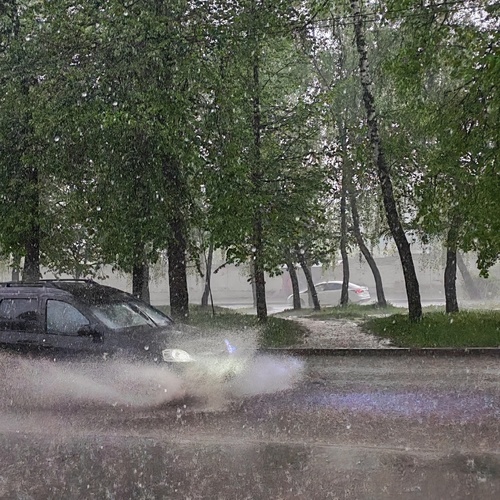 Photo #14215428