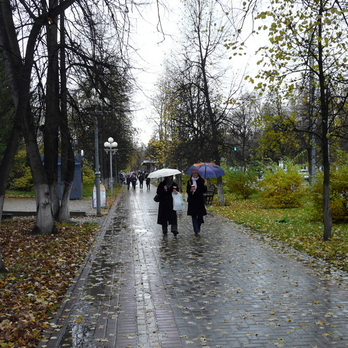 Photo #14215612