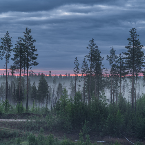 Photo #14216304