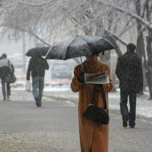 Photo #14216352