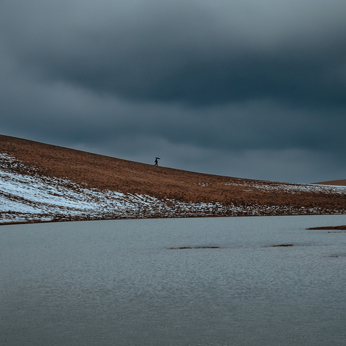 Photo #14217966
