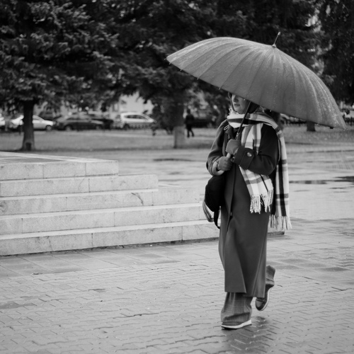 Photo #14218303