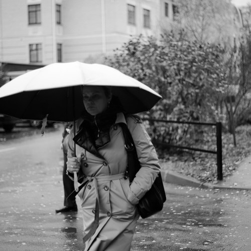 Photo #14218304