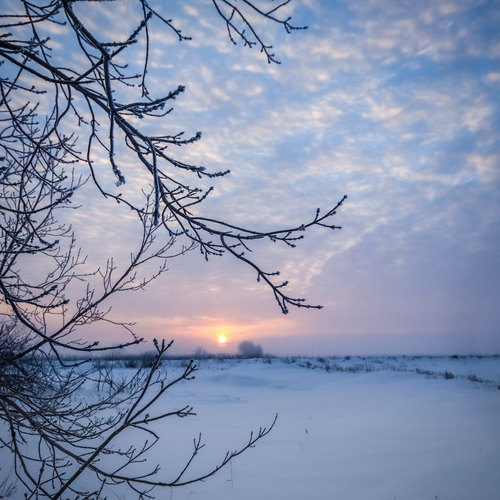 Photo #14218339