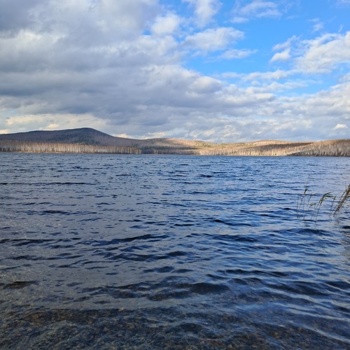 Photo #14218890