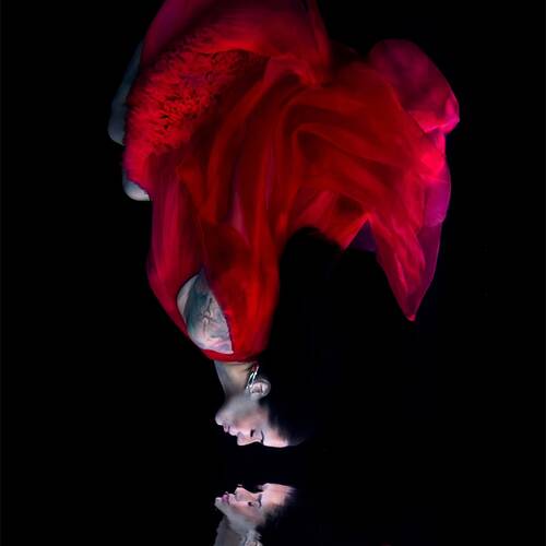 Photo #14219292