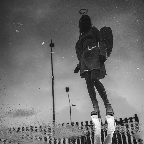 Photo #14219316