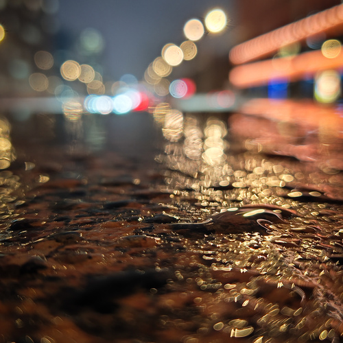 Photo #14219460