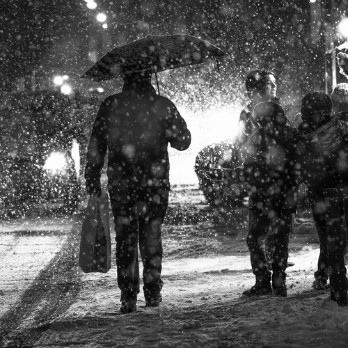 Photo #14219490