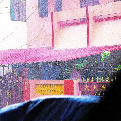 Photo #14219545