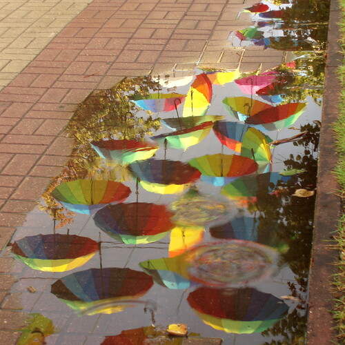 Photo #14219670