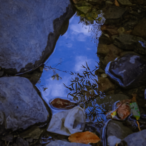 Photo #14220075